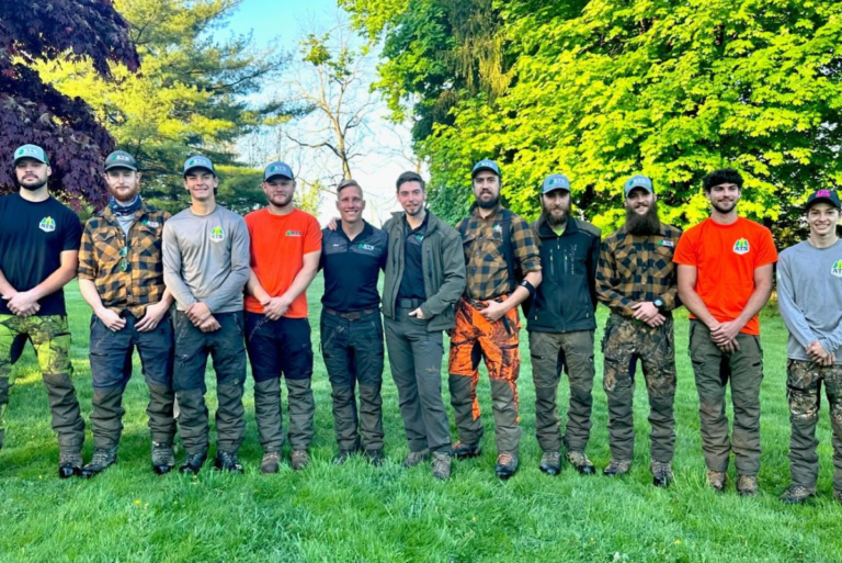 Expert Tree Removal Services in Perkasie | ATS Tree Services