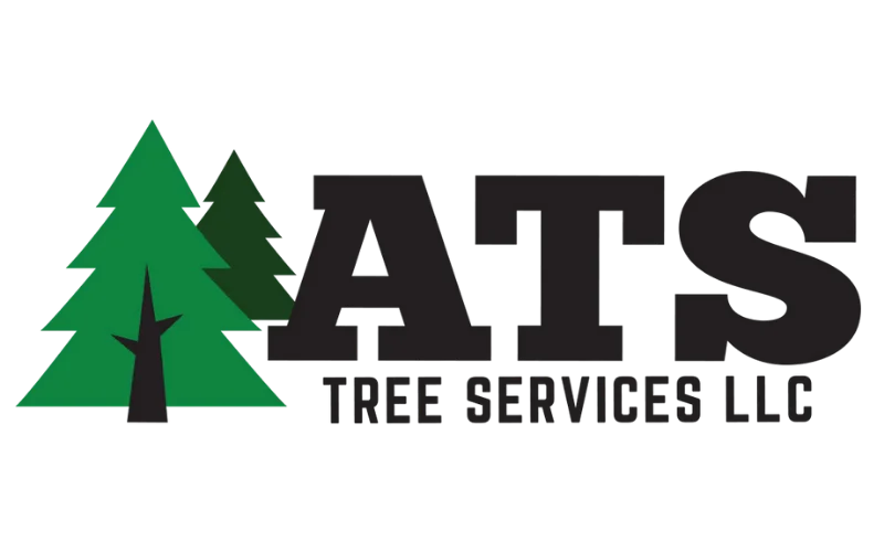 Expert Tree Removal Services in Perkasie | ATS Tree Services