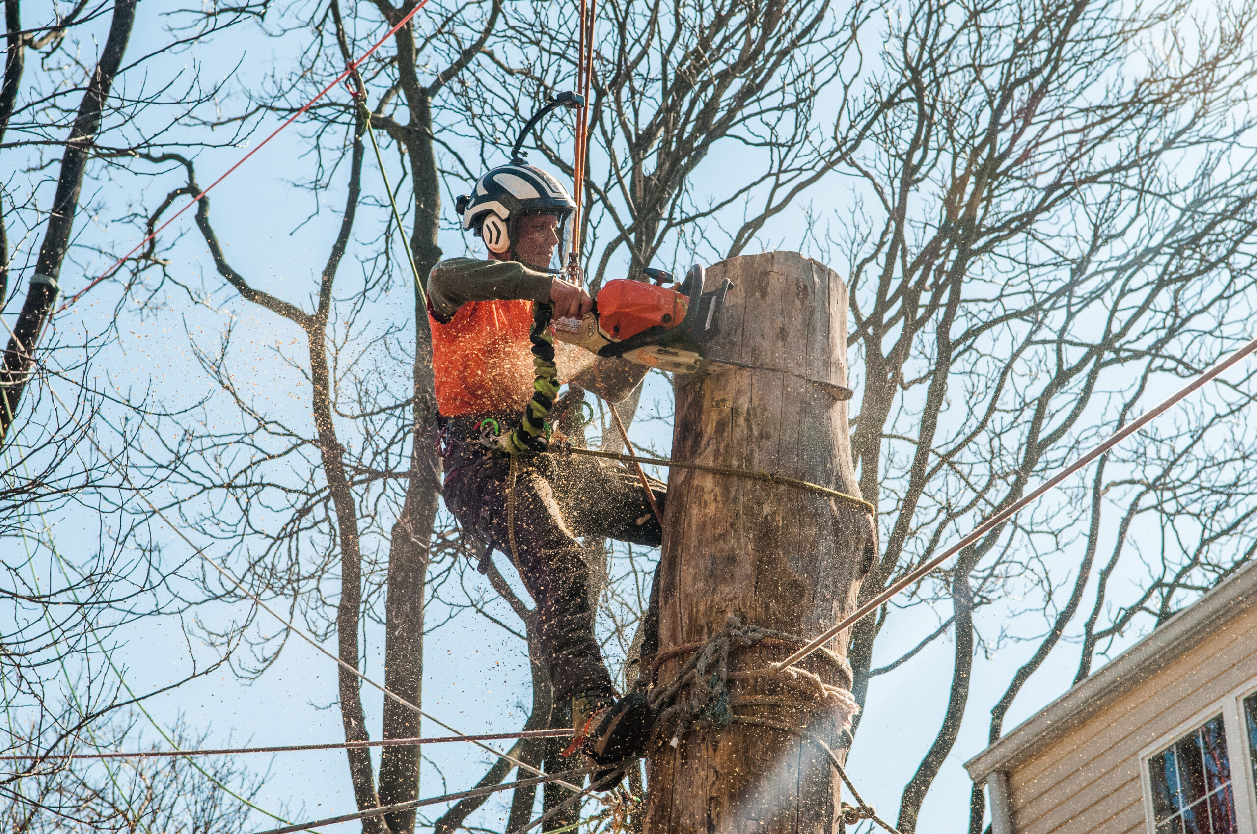 Professional Stump Grinding Perkasie PA| Expert Tree Removal Services in Perkasie | ATS Tree Services