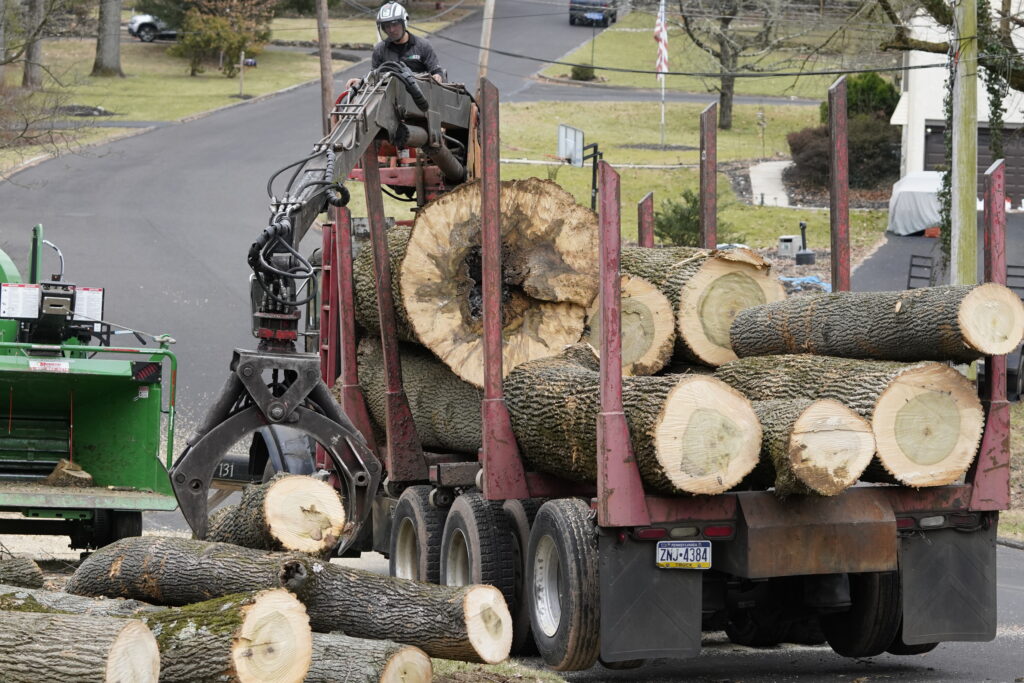 log truck