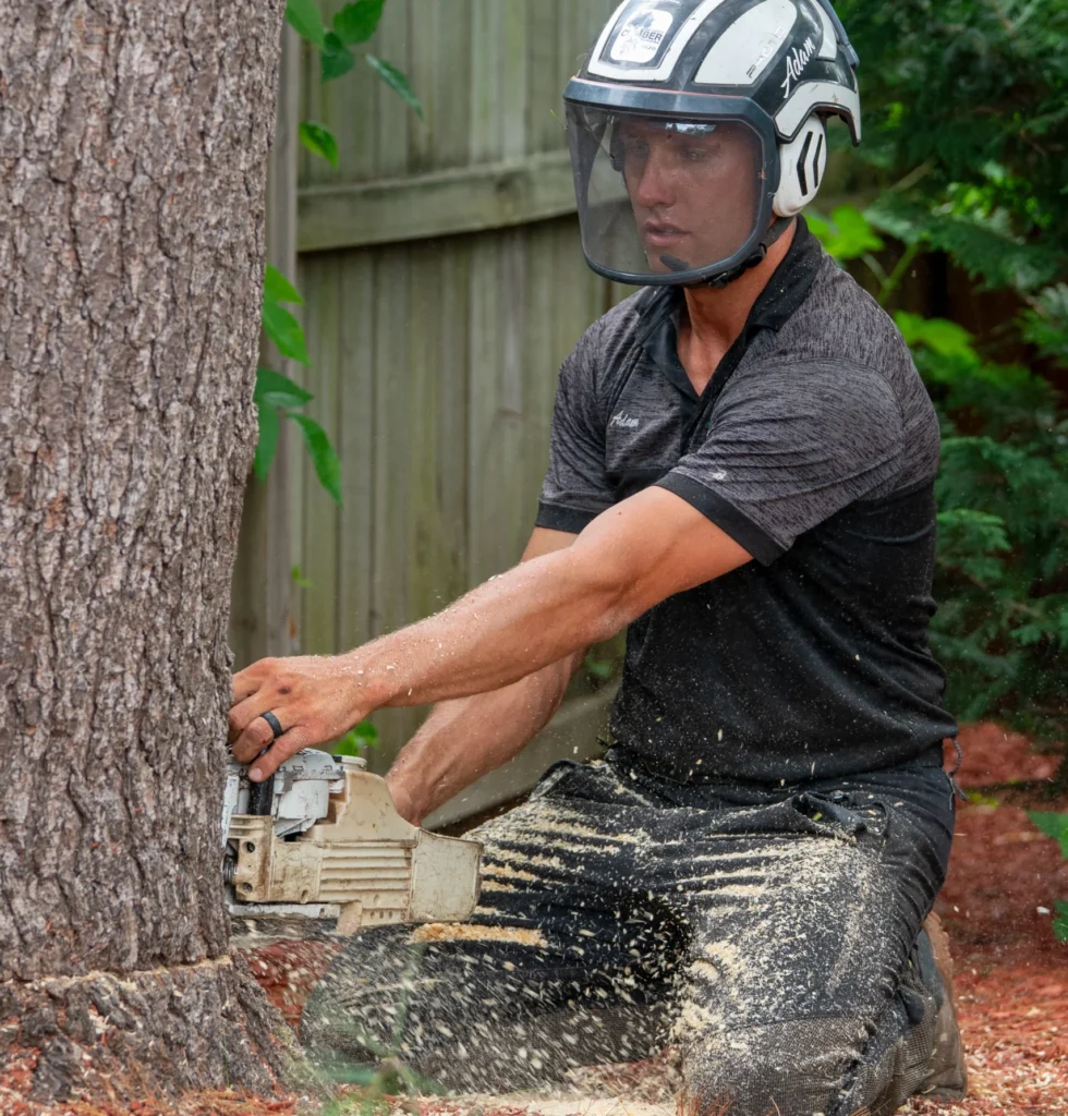 Adam expert tree trunk removal | ATS Tree Services