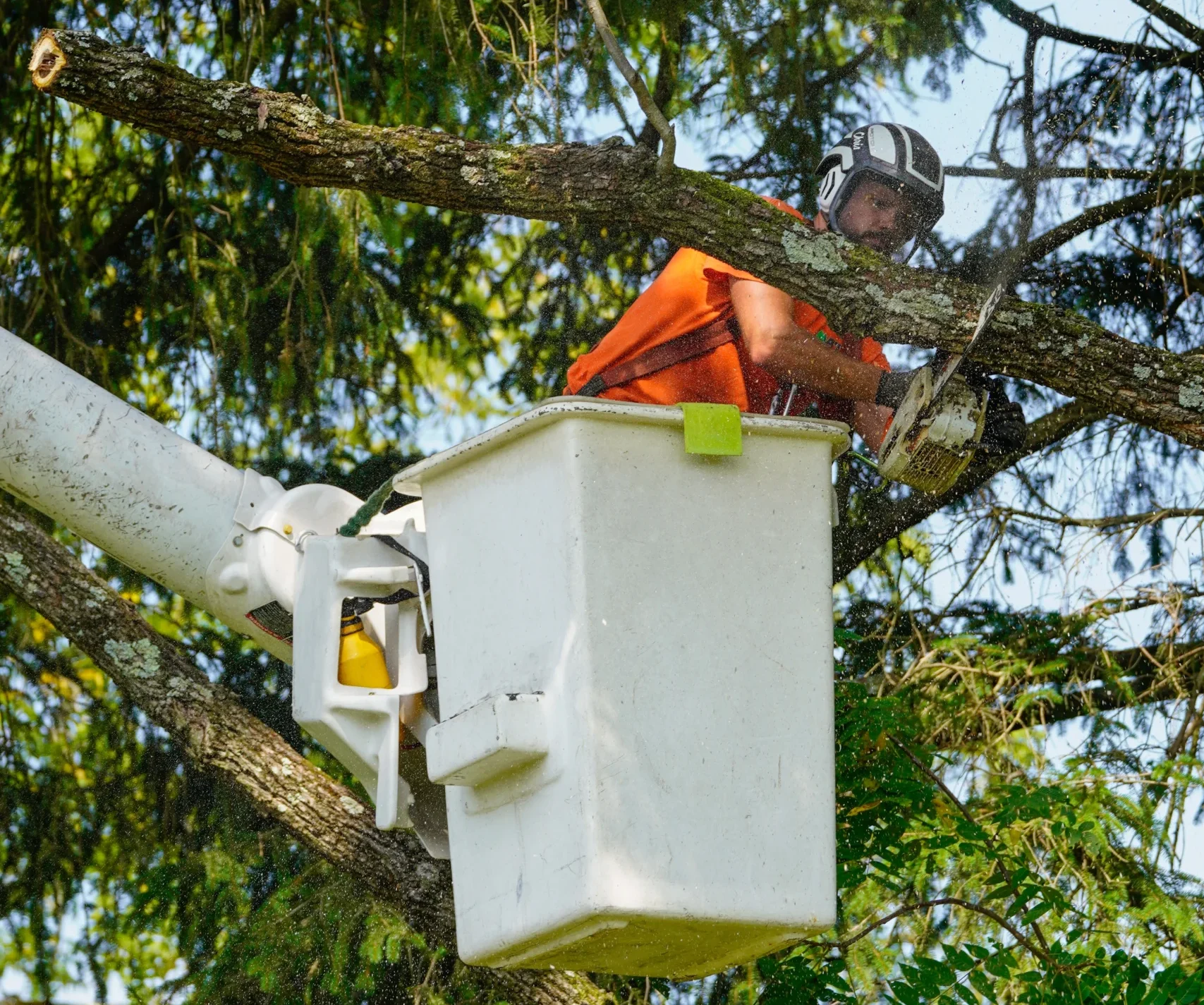Crane lift tree trimming | ATS Tree Services