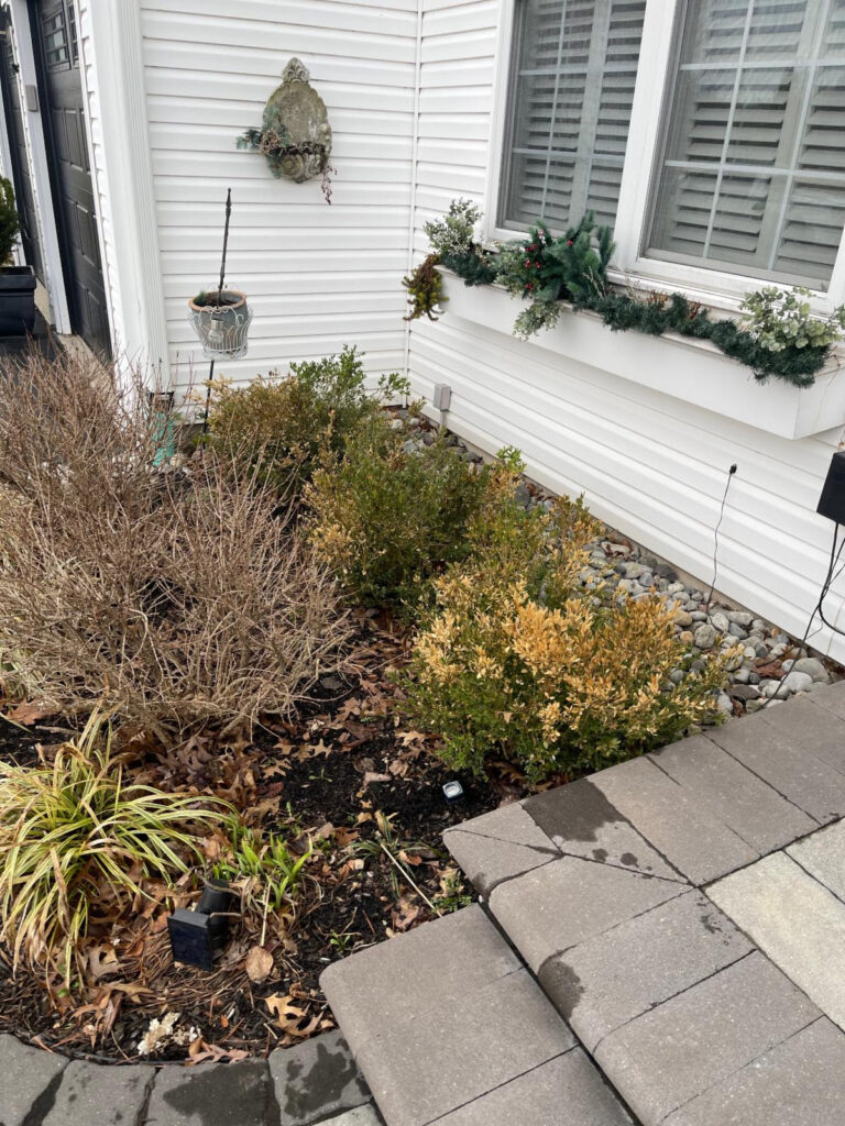 Constant Contact Mailer | ATS Tree Services