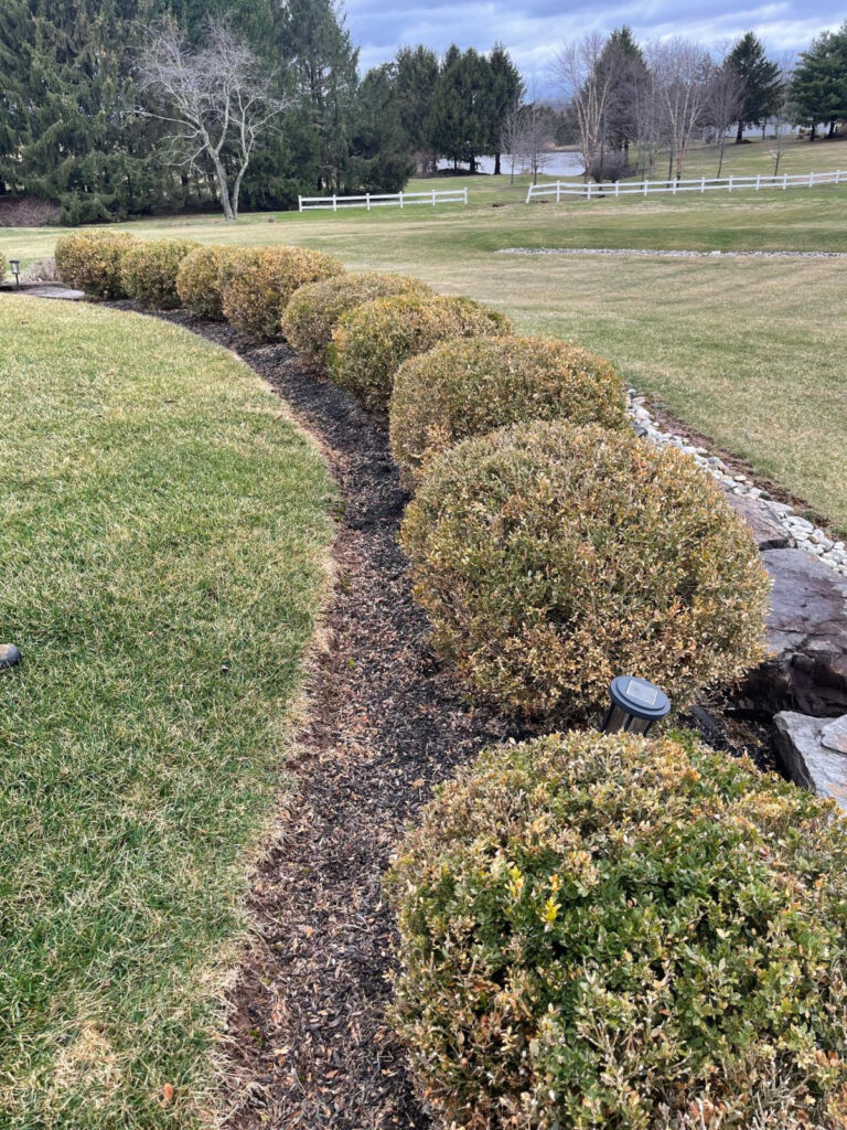 Constant Contact Mailer | ATS Tree Services