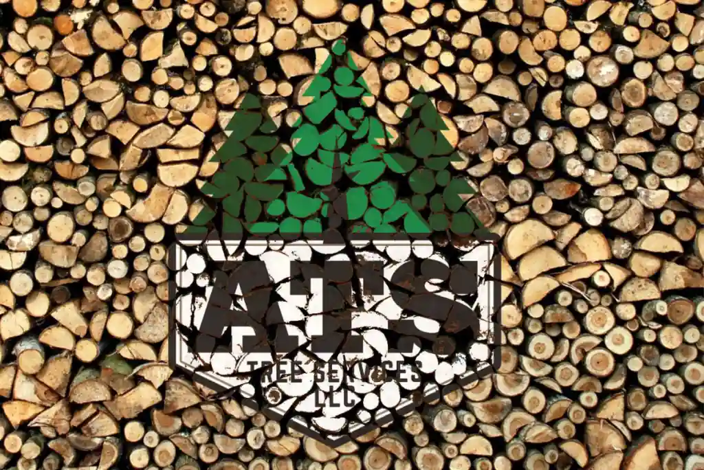 Expert Tree Removal Services in Perkasie | ATS Tree Services