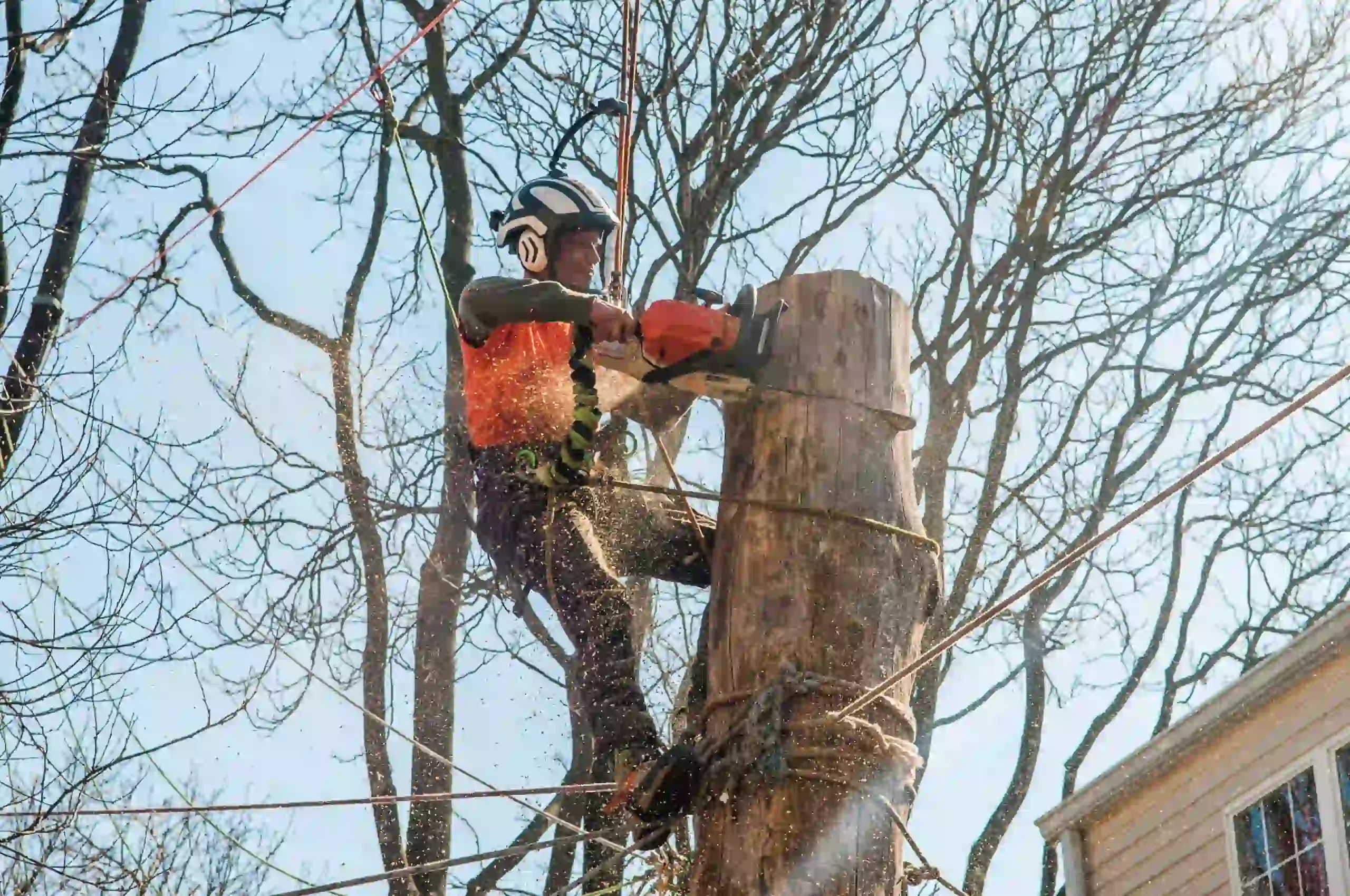 Professional Stump Grinding Perkasie PA| Expert Tree Removal Services in Perkasie | ATS Tree Services